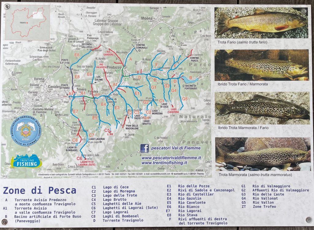 Kaart van viszones in Avisio rivier en foto's van voorkomende forellensoorten